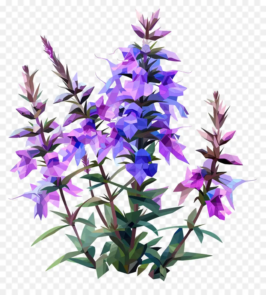 Art Floral Numérique，Fleurs Violettes PNG