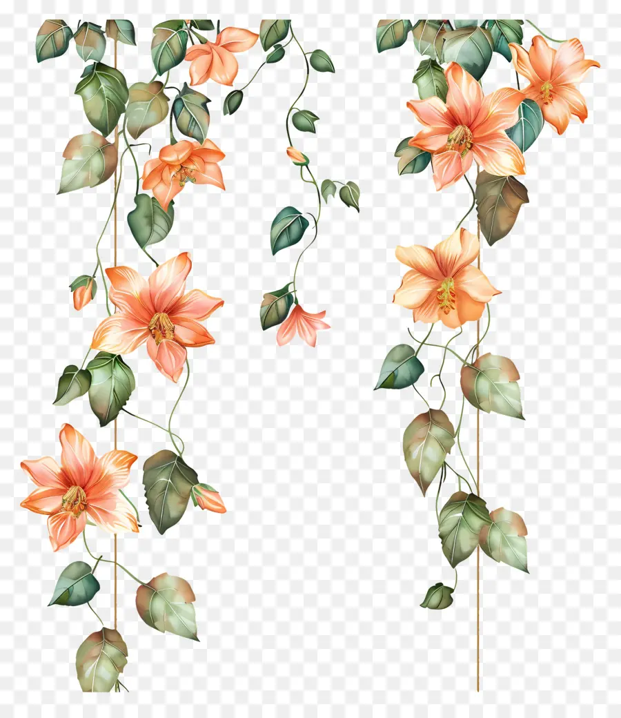 Décoration Florale，Guirlande Florale PNG