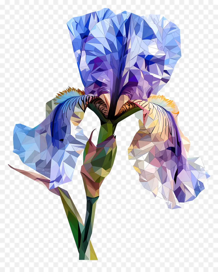 Art Numérique，Iris Bleu PNG