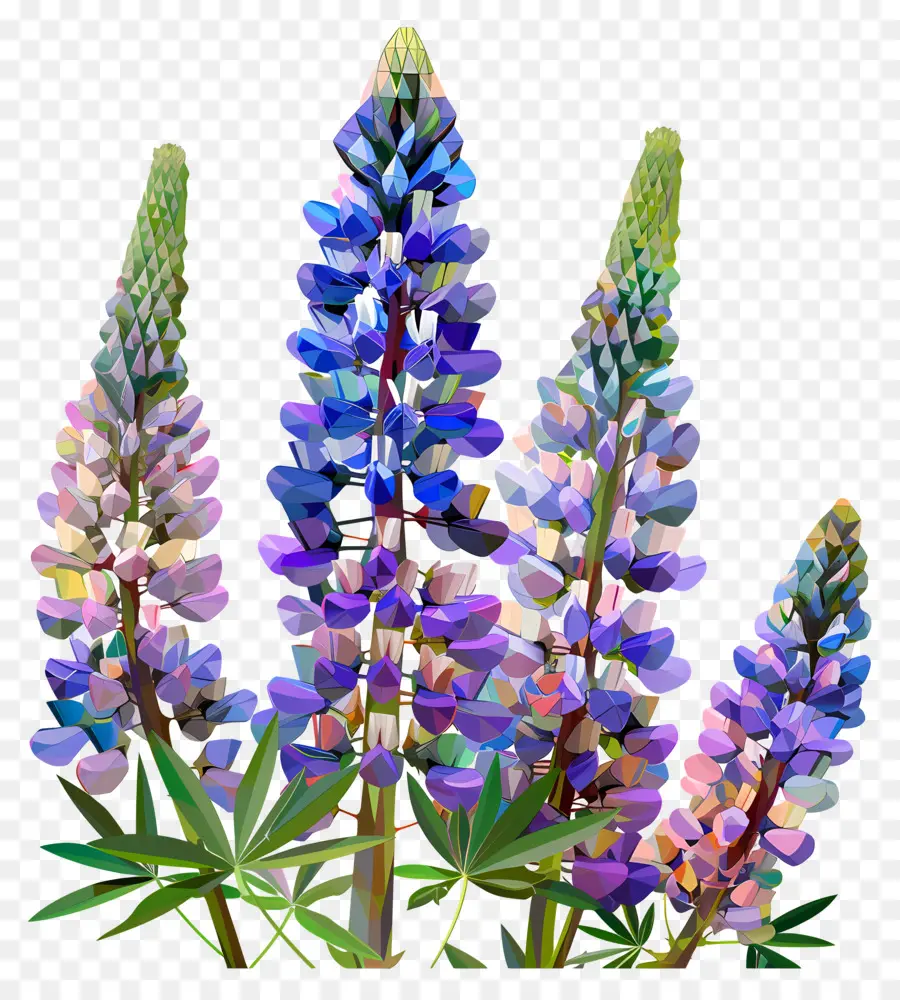 Art Des Fleurs Numériques，Fleurs De Lupin PNG