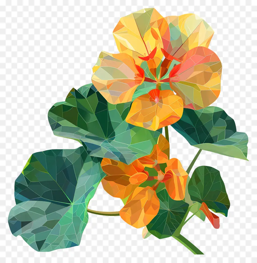 Art Numérique，Fleurs Oranges PNG