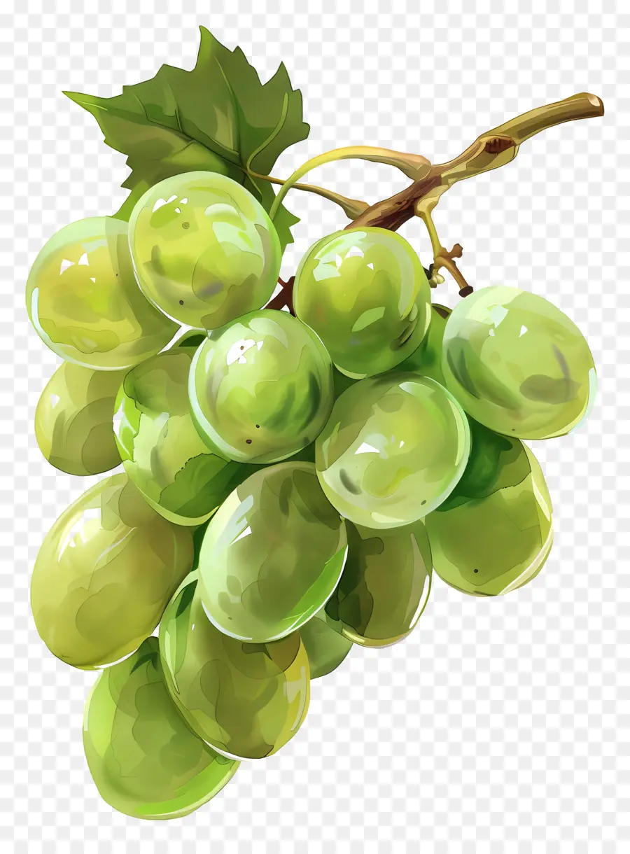 Raisins Verts，Grappe De Raisin PNG