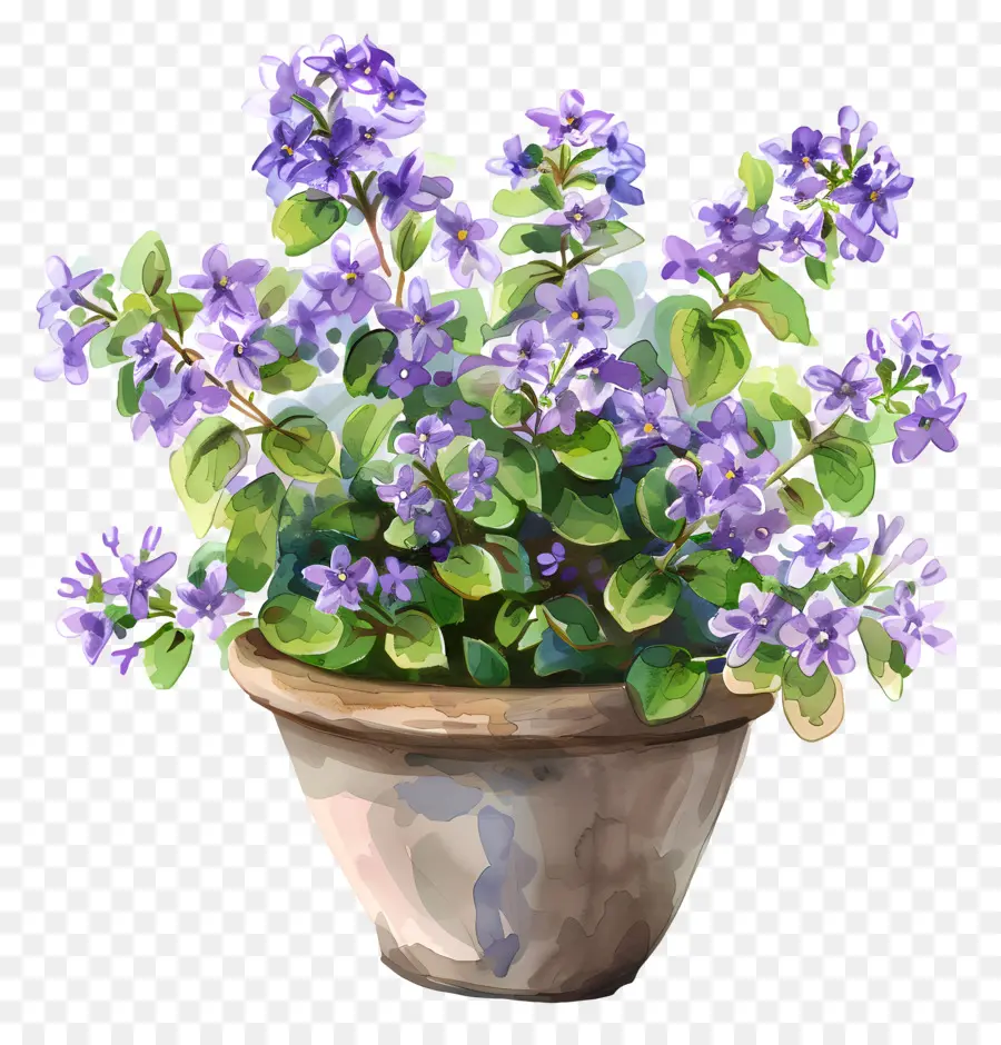 Fleurs Lilas，Fleurs Violettes PNG