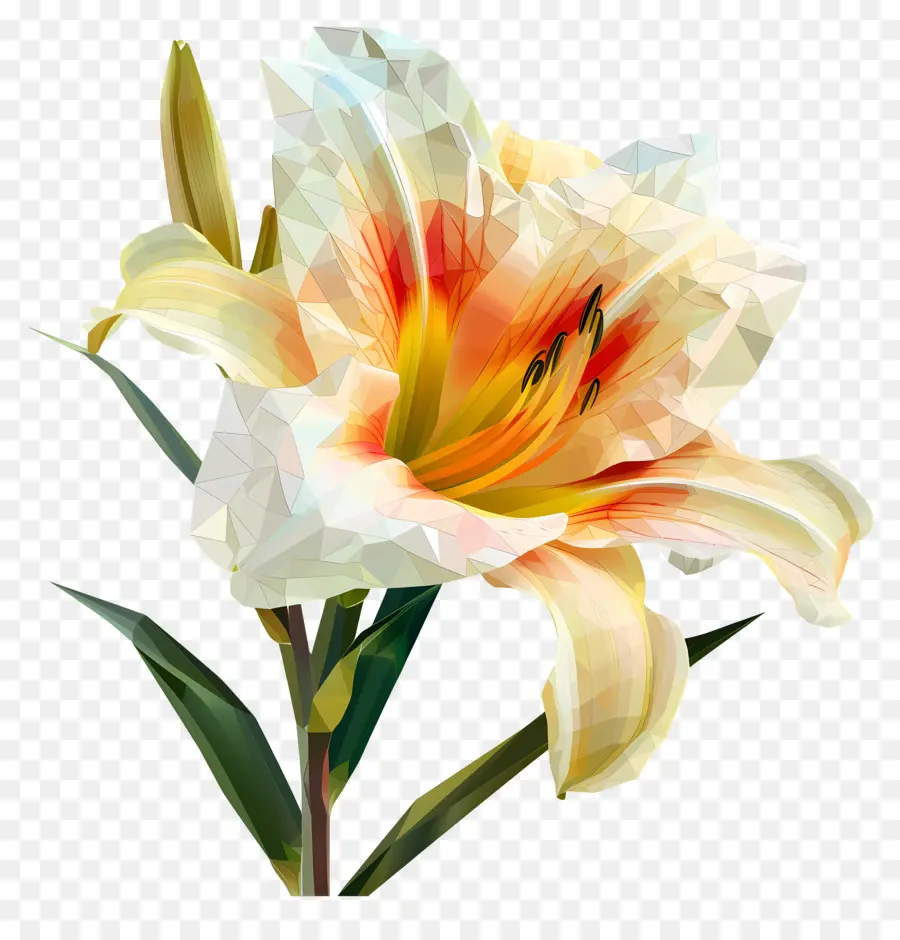 Numérique Fleur，Lys Blanc PNG