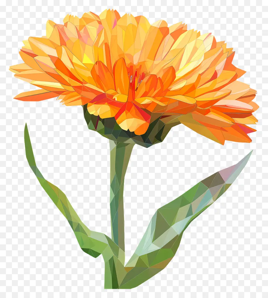 Numérique Fleur，La Fleur D'oranger PNG