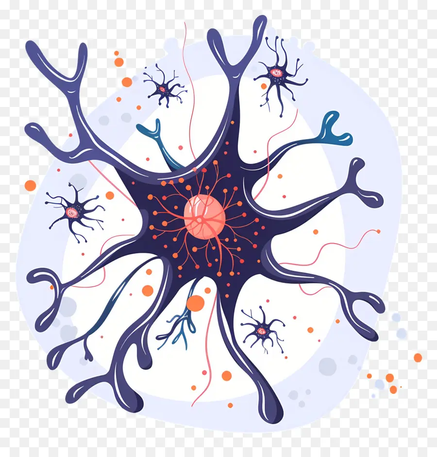 Neurones，La Névroglie PNG