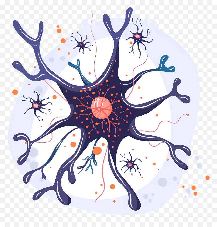 Neuronet，Neurone PNG