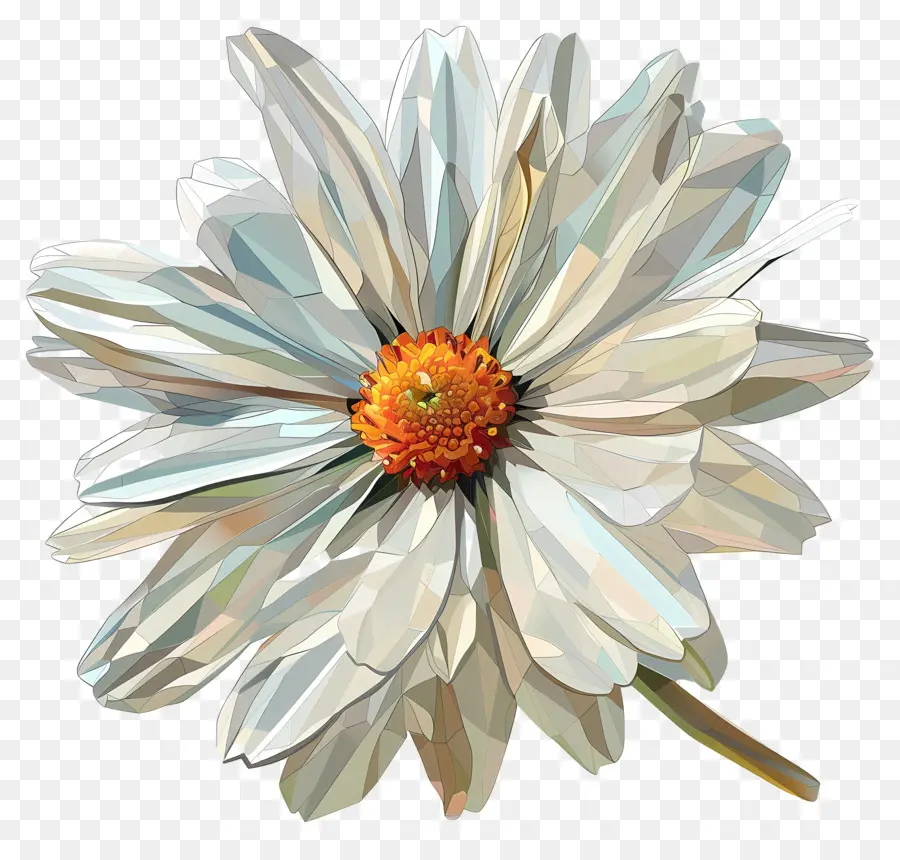 Art Des Fleurs Numériques，Daisy Blanche PNG