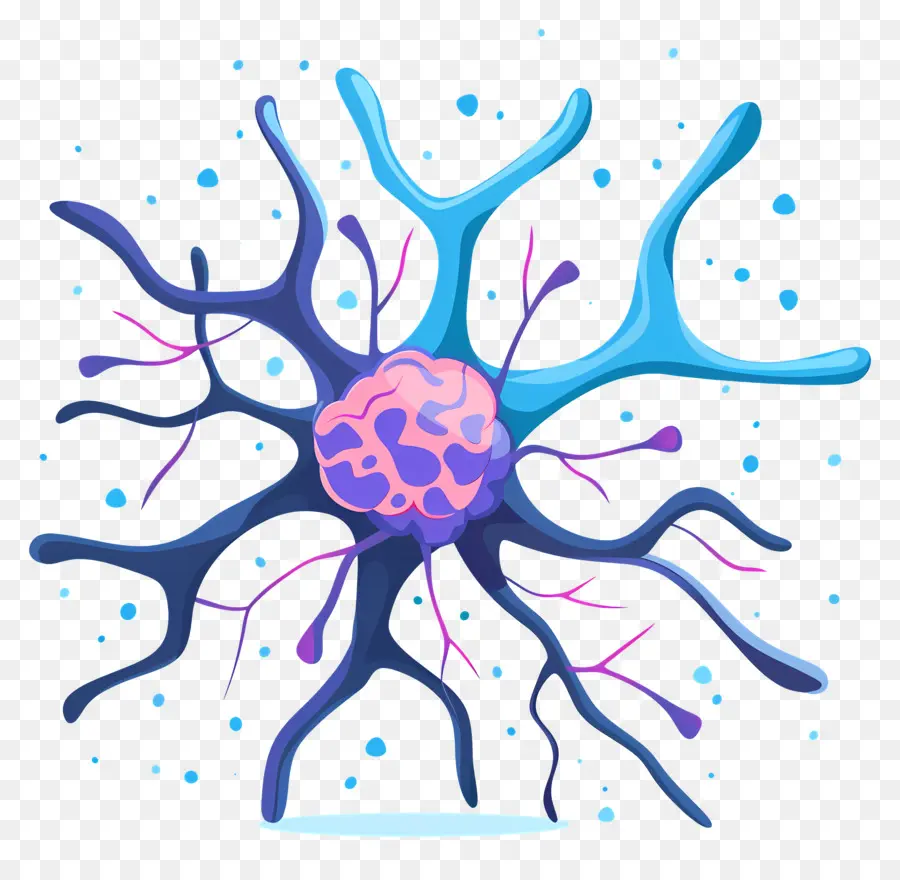 Neurones，Cellule Du Cerveau PNG