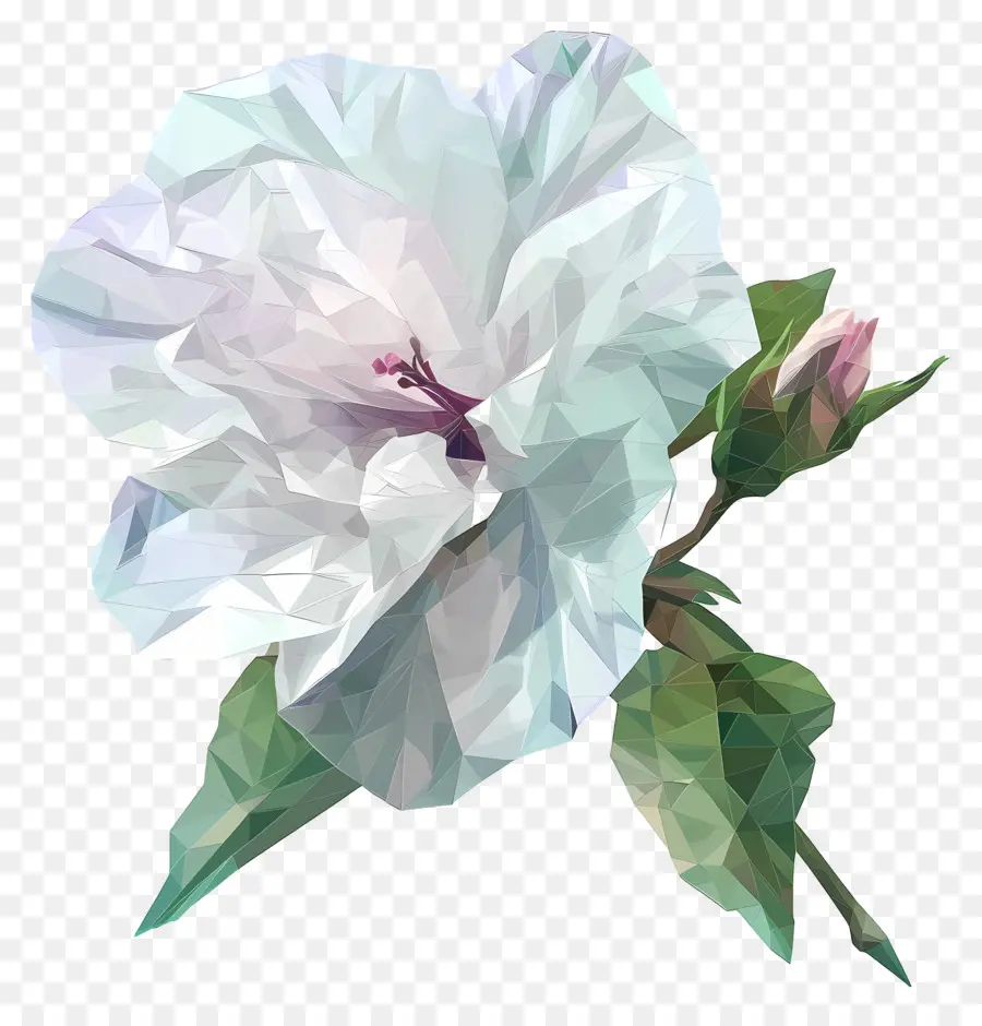 Art Floral Numérique，Fleur Blanche PNG