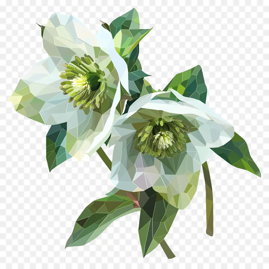 Numérique Fleur，Fleurs Blanches PNG
