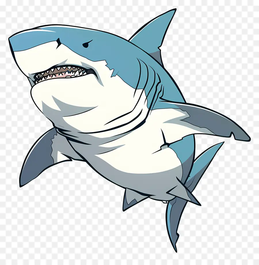 Requin Bouledogue，Requin PNG