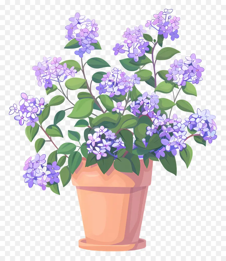 Fleurs Lilas，Pot De Fleurs PNG