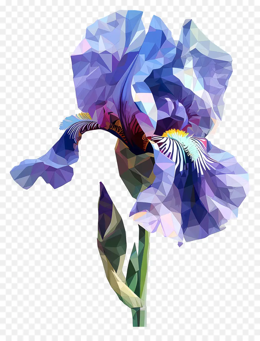 Art Numérique，Iris Bleu PNG