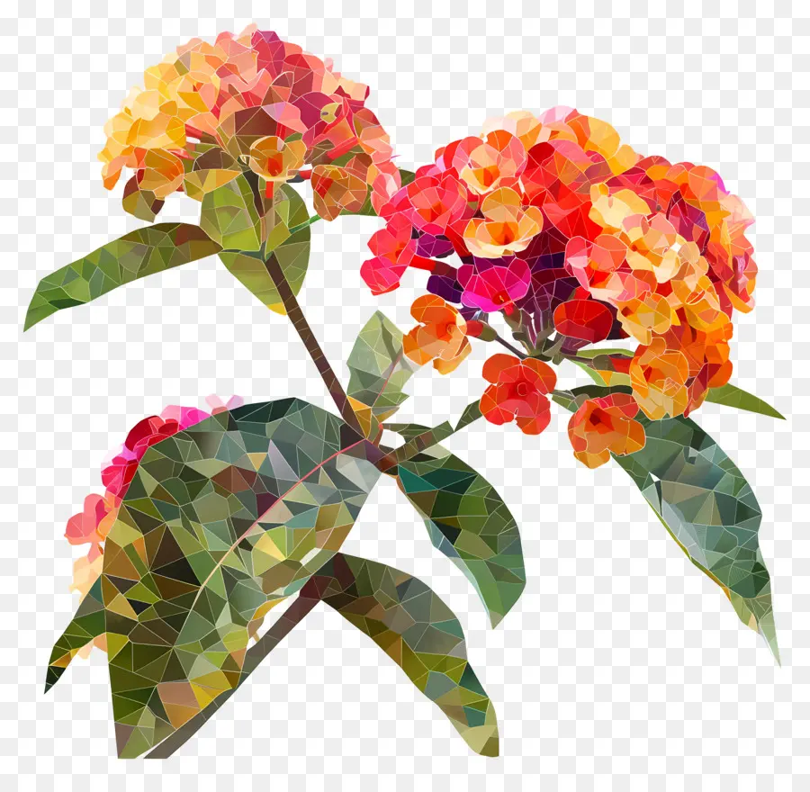 Art Des Fleurs Numériques，Fleurs à Faible Pudeur PNG