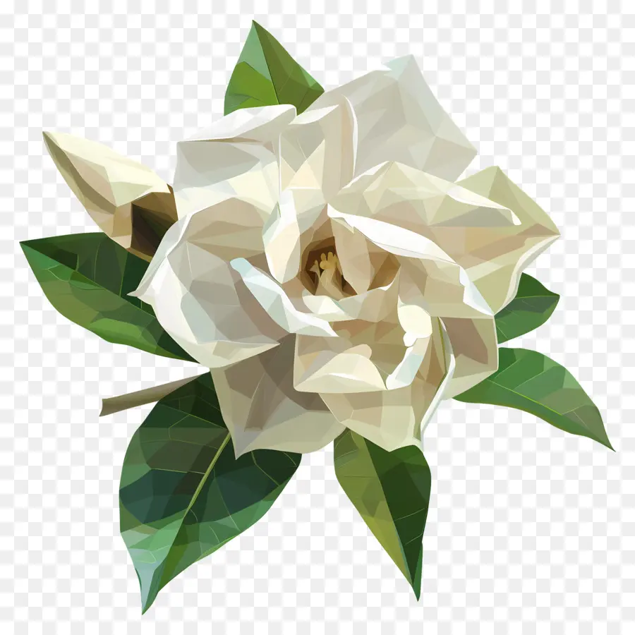 Art Numérique，Fleur Blanche PNG