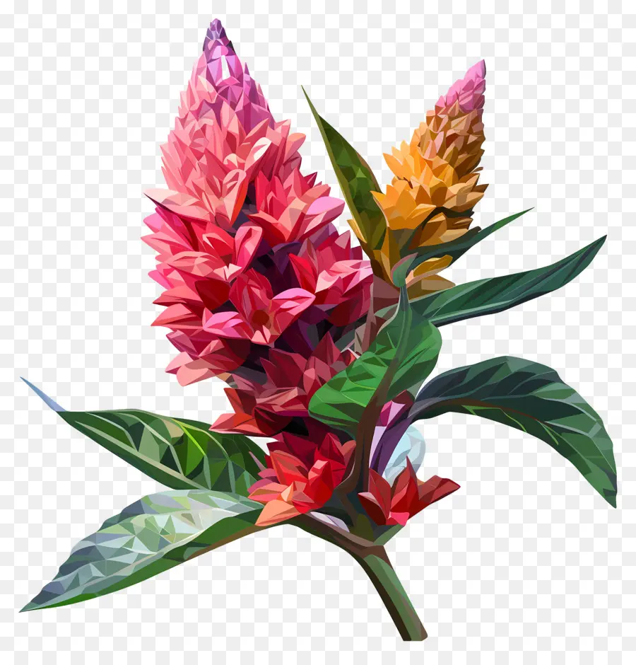 Numérique Fleur，Fleurs Colorées PNG