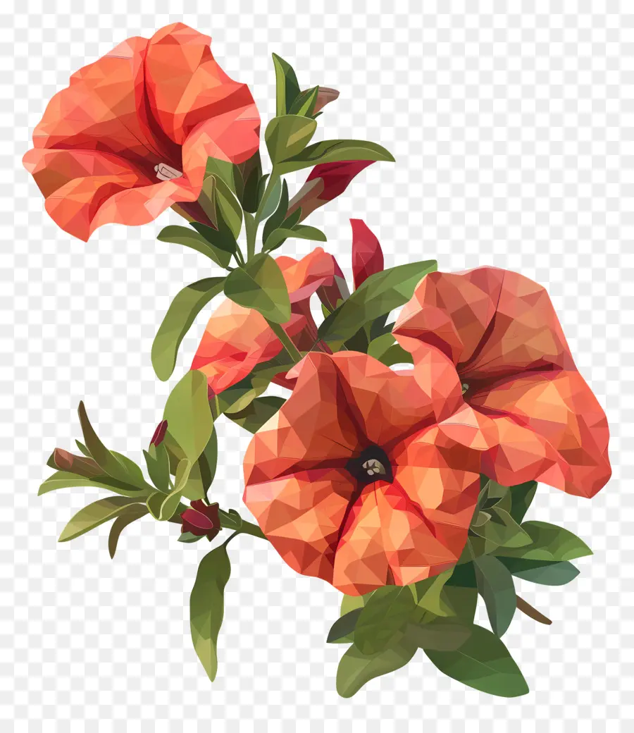 Fleur Numérique，Fleurs Oranges PNG