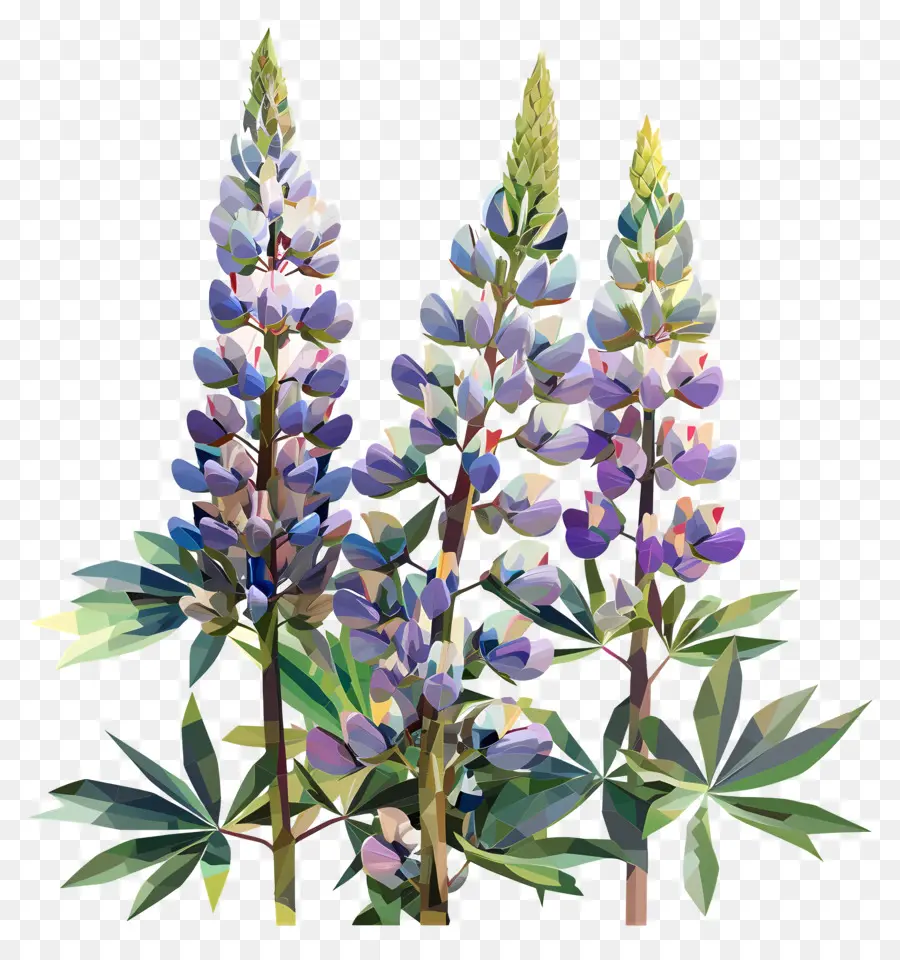 Art Des Fleurs Numériques，Fleurs De Lupin Violet PNG