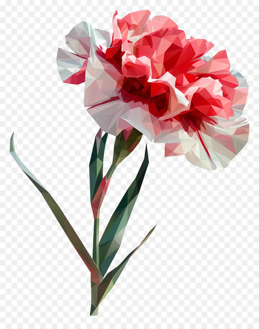 Numérique Fleur，Oeillet Rose PNG