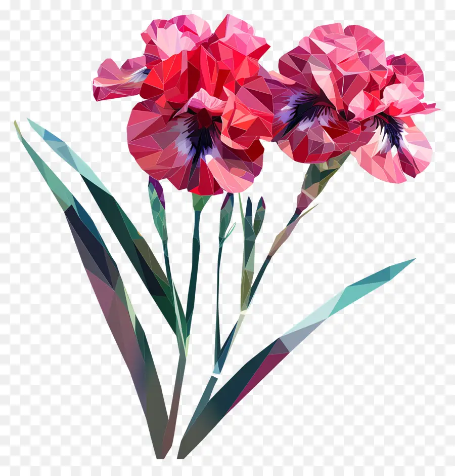 Numérique Fleur，Iris Rose PNG