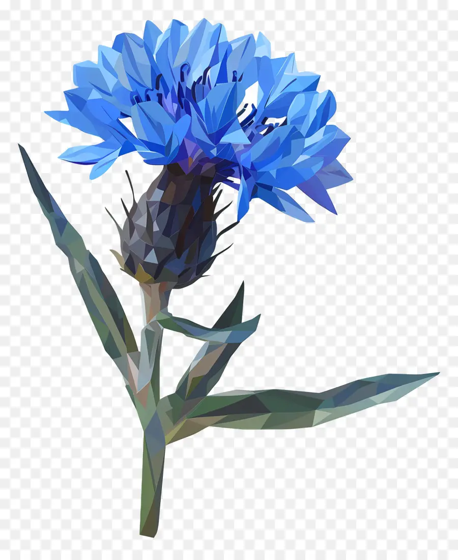 Art Numérique，Fleur Bleue PNG