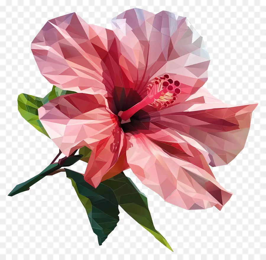 Art Des Fleurs Numériques，Hibiscus Rose PNG