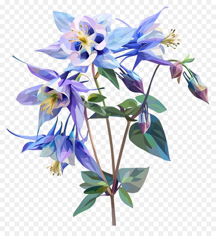 Numérique Fleur，Fleurs Bleues De Columbine PNG