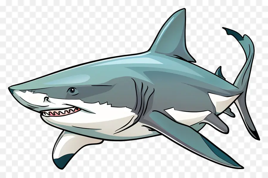 Requin Taureau，Grand Requin Blanc PNG