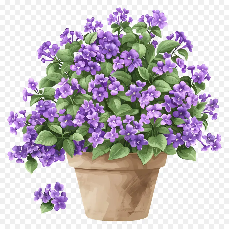 Fleurs Lilas，Pot De Fleurs PNG