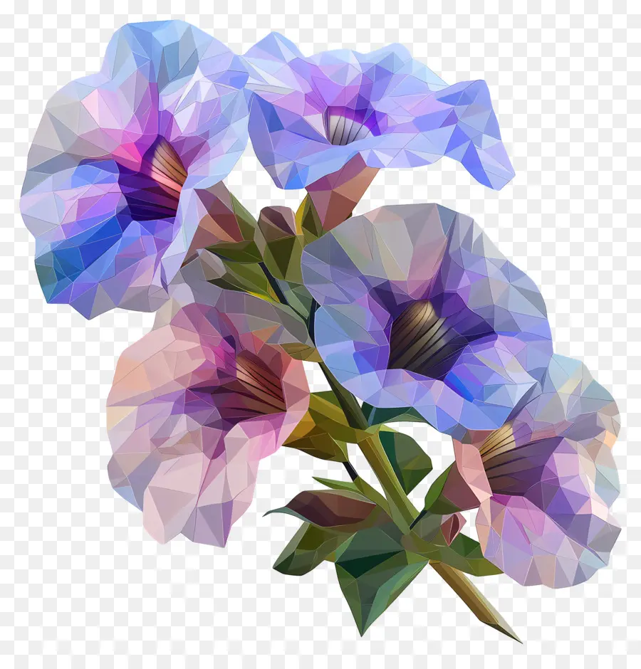 Numérique Fleur，Gladiolus PNG