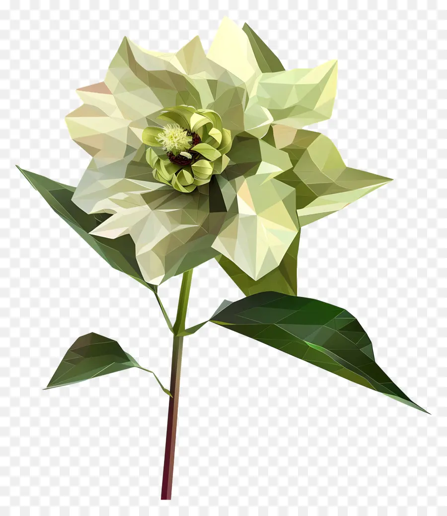 Numérique Fleur，Camélia Blanc PNG
