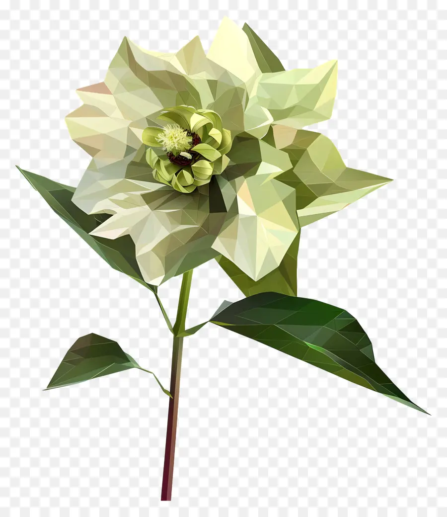 Fleur Numérique，Fleur PNG