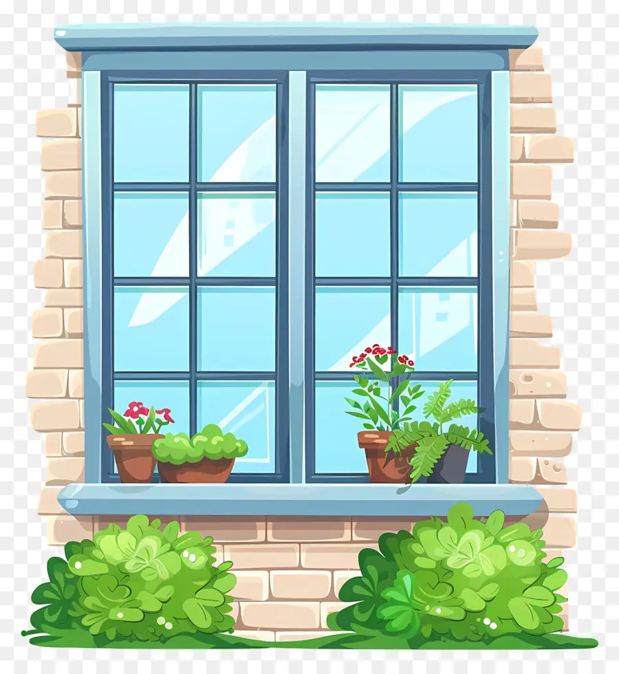 Fenêtre，Plants De Fenêtres PNG