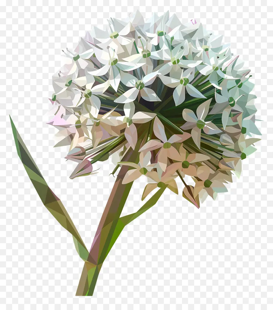 Numérique Fleur，Fleur Blanche PNG