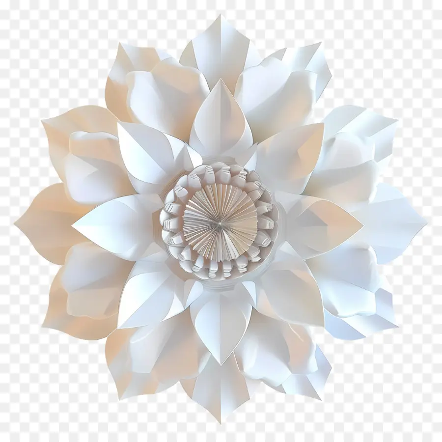 Numérique Fleur，Fleur De Papier PNG