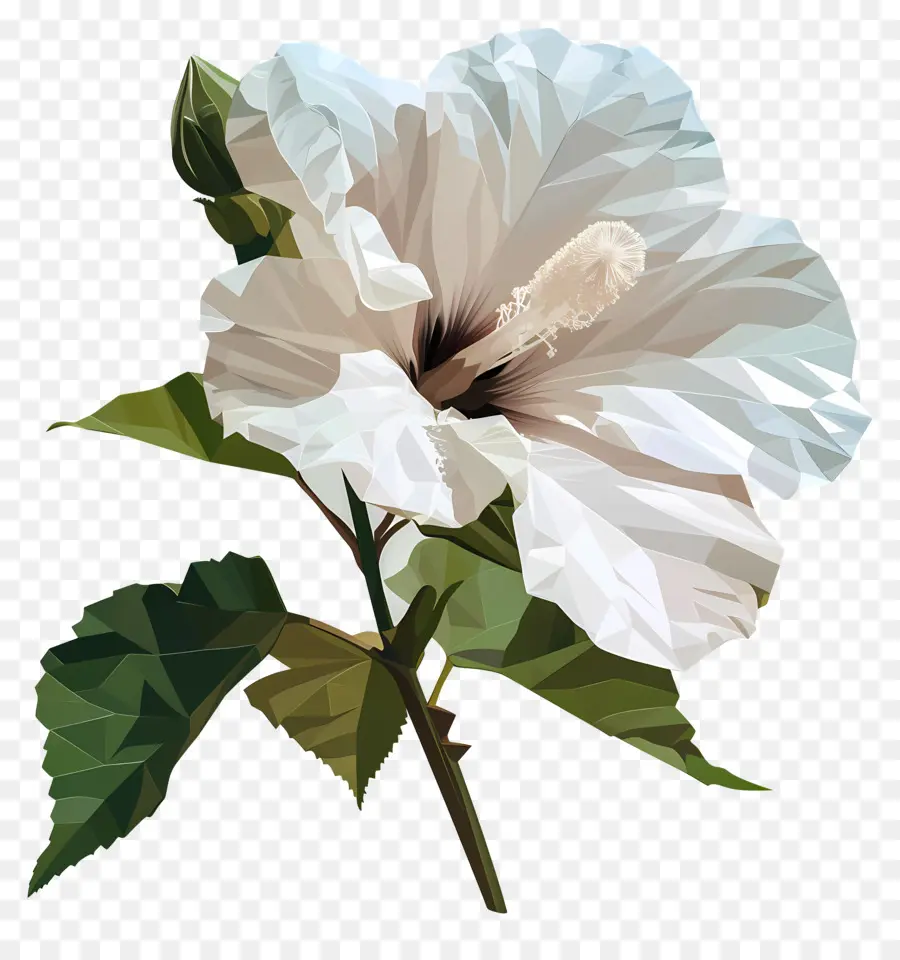 Art Des Fleurs Numériques，Fleur D'hibiscus PNG