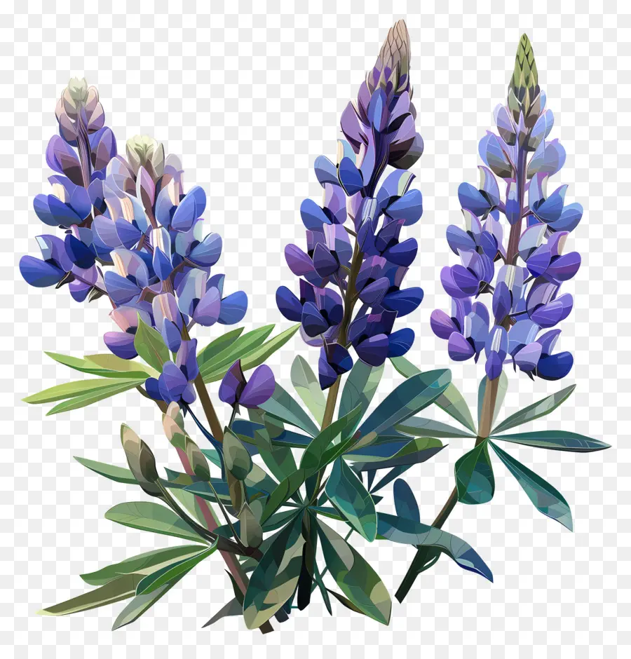 Art Des Fleurs Numériques，Fleurs De Lupin Violet PNG