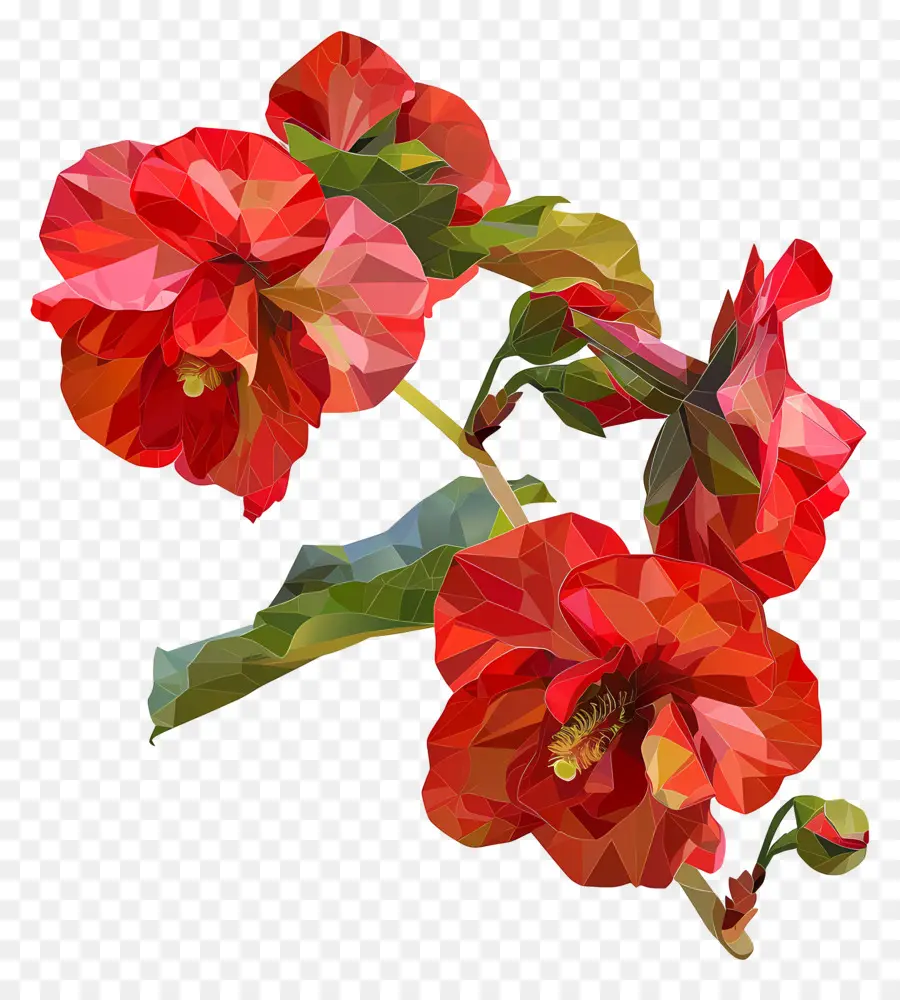 Numérique Fleur，Fleurs D'hibiscus Rouges PNG