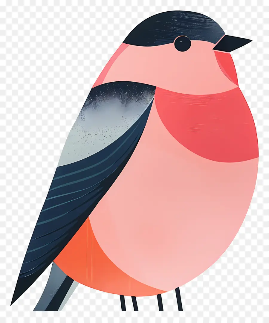 Oiseau，Redcrested Cardinal PNG