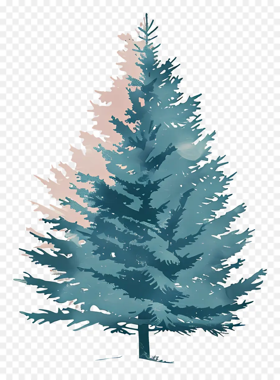 Sapin，Arbre Coloré PNG