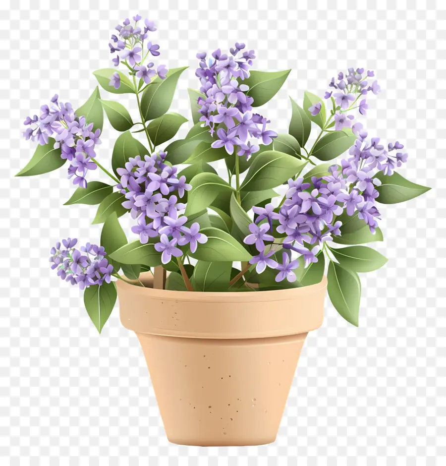 Fleurs Lilas，Pot De Fleurs PNG