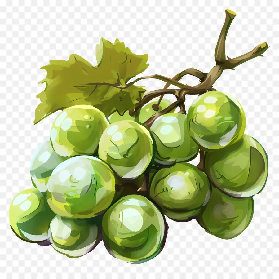 Raisins Verts，Juteuse PNG