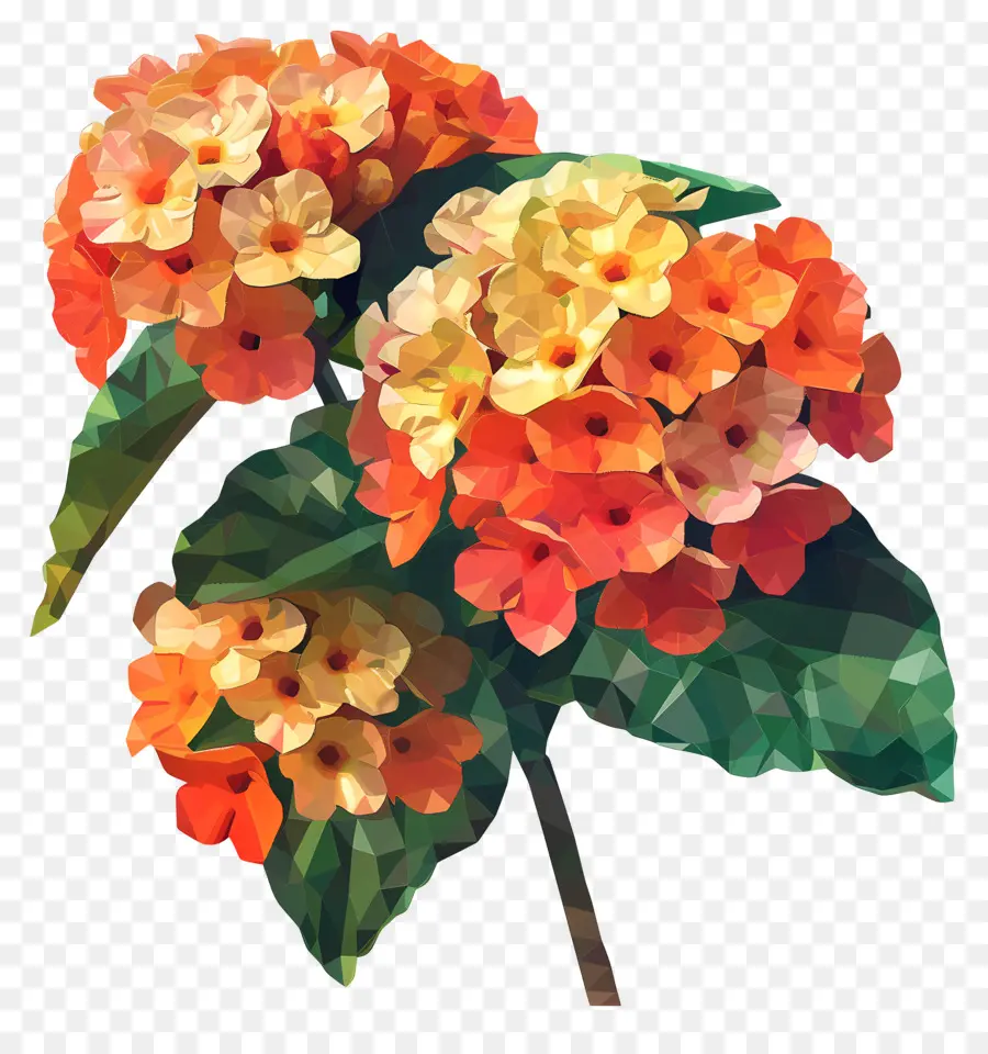 Art Des Fleurs Numériques，Fleurs D'hibiscus PNG