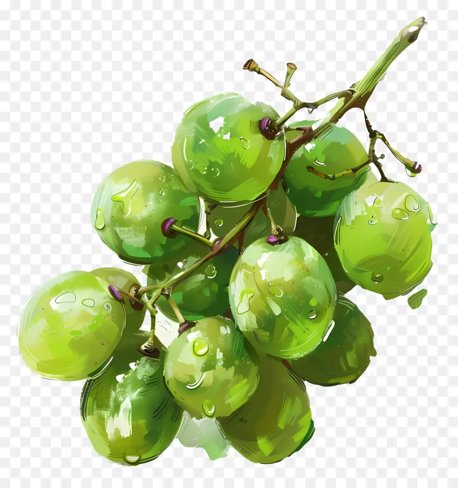Raisins Verts，Raisins PNG