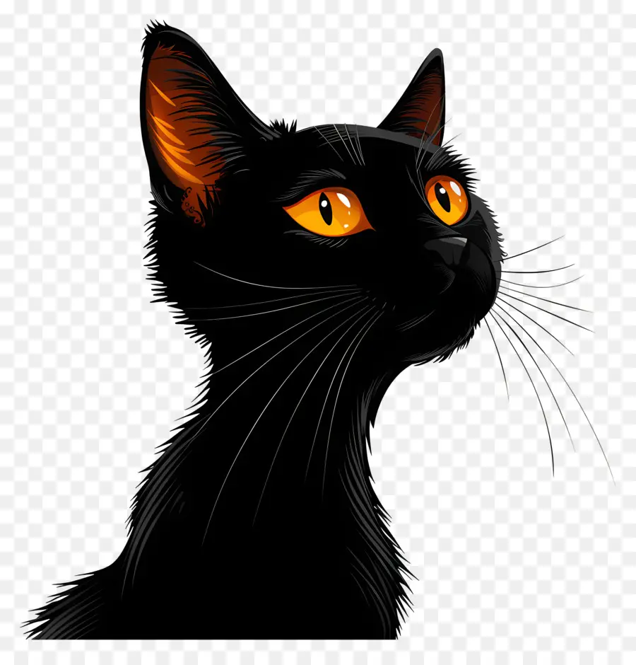 Chat Noir，Yeux Oranges PNG