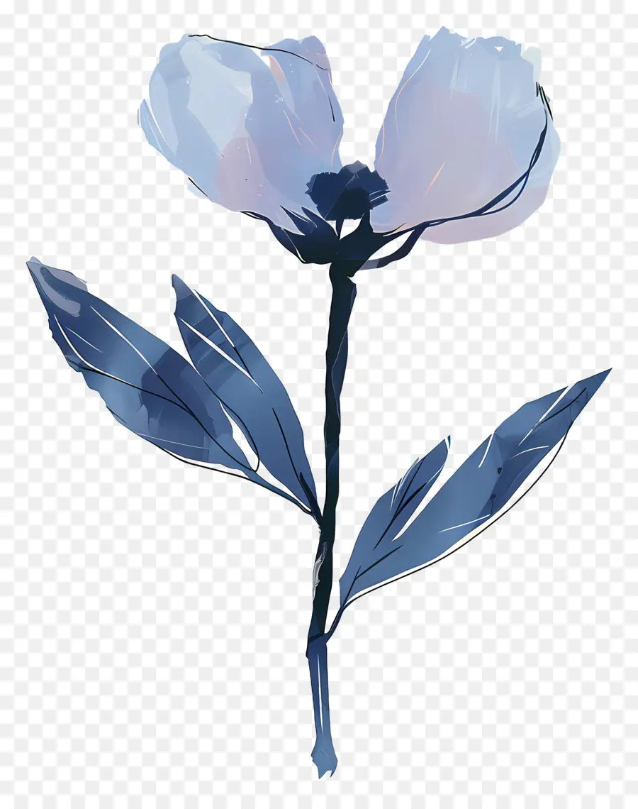 Fleur，Fleur Bleue PNG