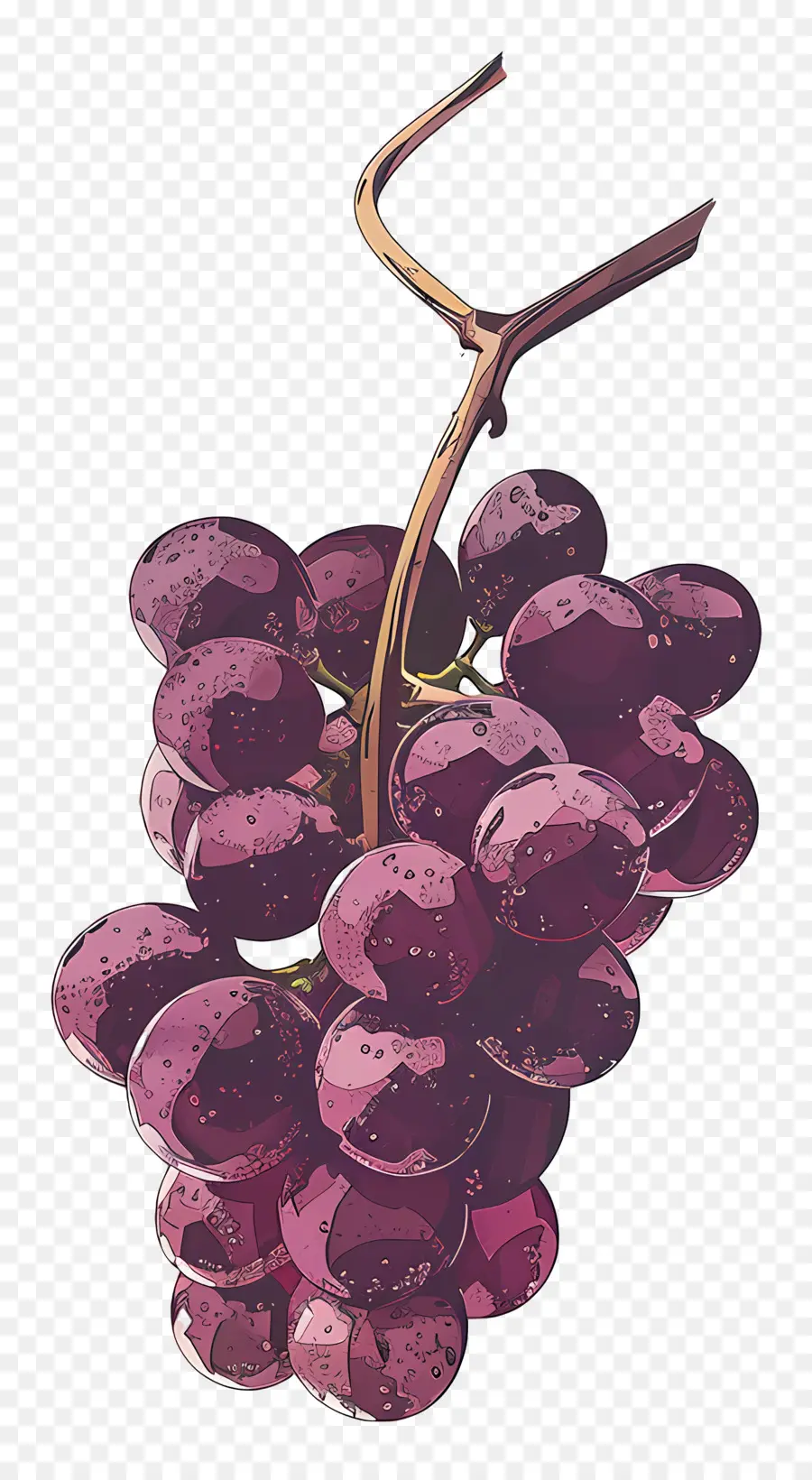 Raisins，De La Vigne PNG