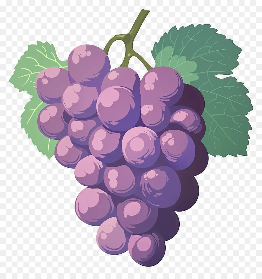 Raisins，Violet PNG