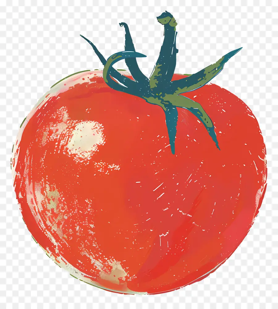 Tomate，Rouge Tomate PNG